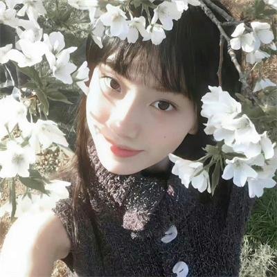 花月争辉